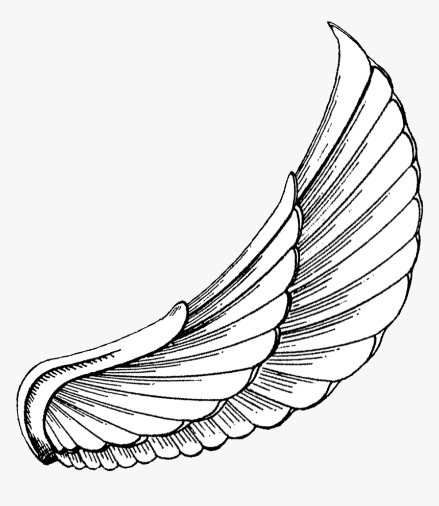 Vector Royalty Free Download To Download Click On - Wings Hd Tattoo Design, HD Png Download, Free Download