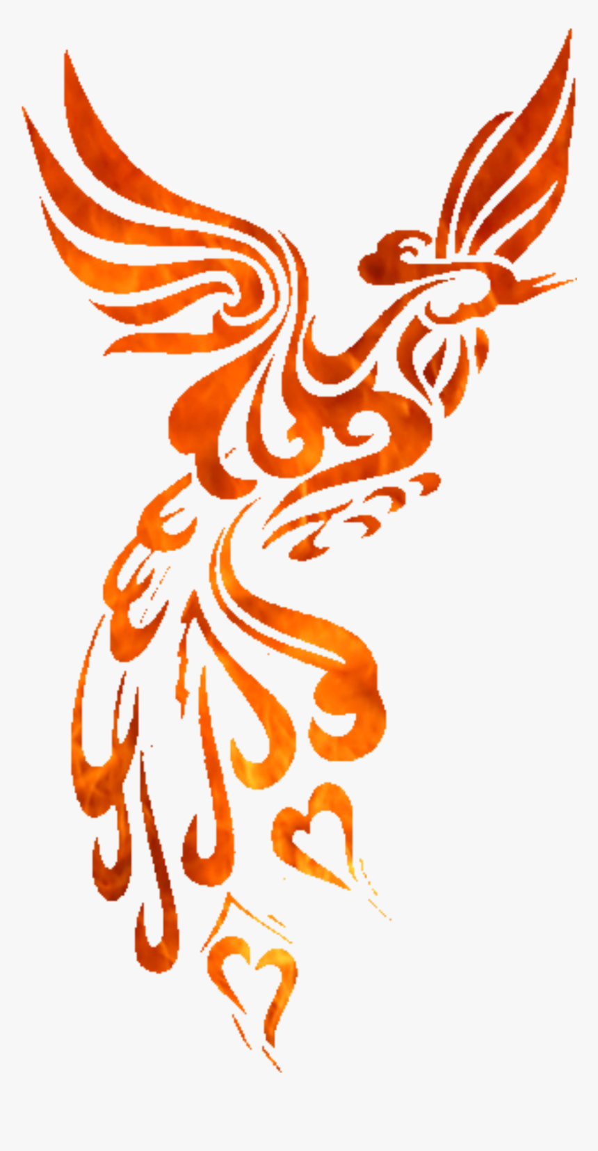 Phoenix Bird Tattoos - Phoenix Tattoo Designs, HD Png Download, Free Download