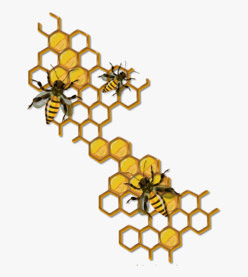 #mq #bee #bees #insect #flying #honey - Honey Bee Hive Drawing, HD Png Download, Free Download