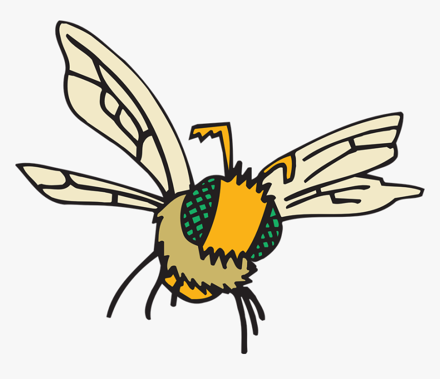Eyes, Bee, Flying, Insect, Compound, Fuzzy, Fly - Flying Insect Clipart, HD Png Download, Free Download
