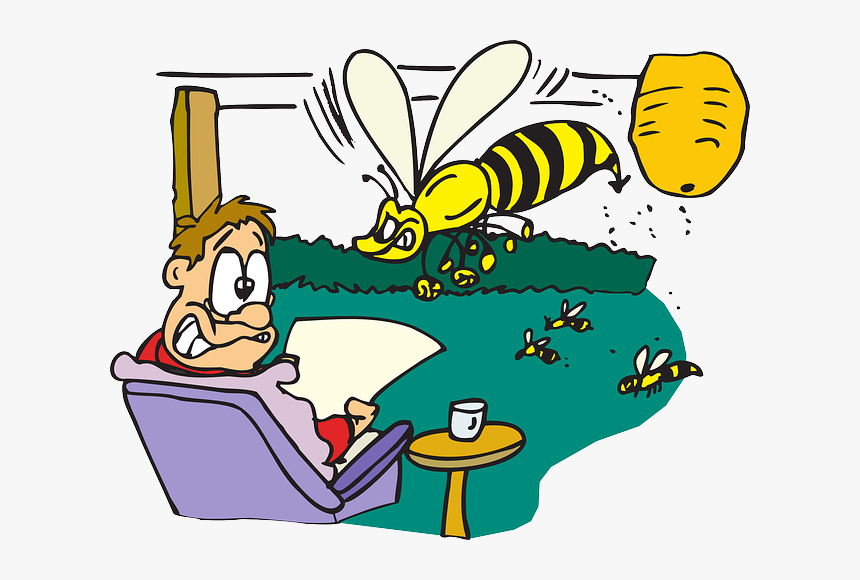 Man, Scared, Bees, Flying, Garden, Human, Person, Adult - Man Scared Of Bee, HD Png Download, Free Download