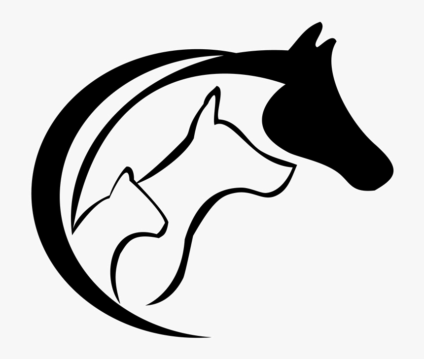 Dog Walker In Southport - Cat Dog And Horse Silhouette Png, Transparent Png, Free Download