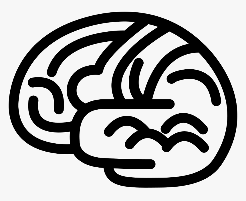 Brain Body Organ Outline - Cerebro Contorno Png, Transparent Png, Free Download