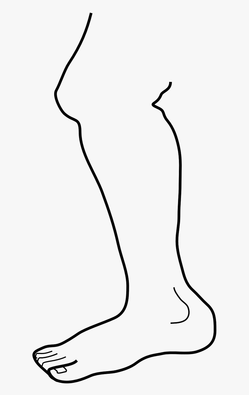 Leg Clipart Black And White, HD Png Download, Free Download