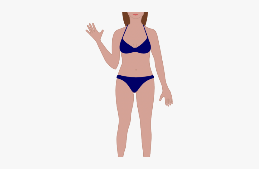 Woman Body Outline - Female Human Body Cartoon, HD Png Download, Free Download
