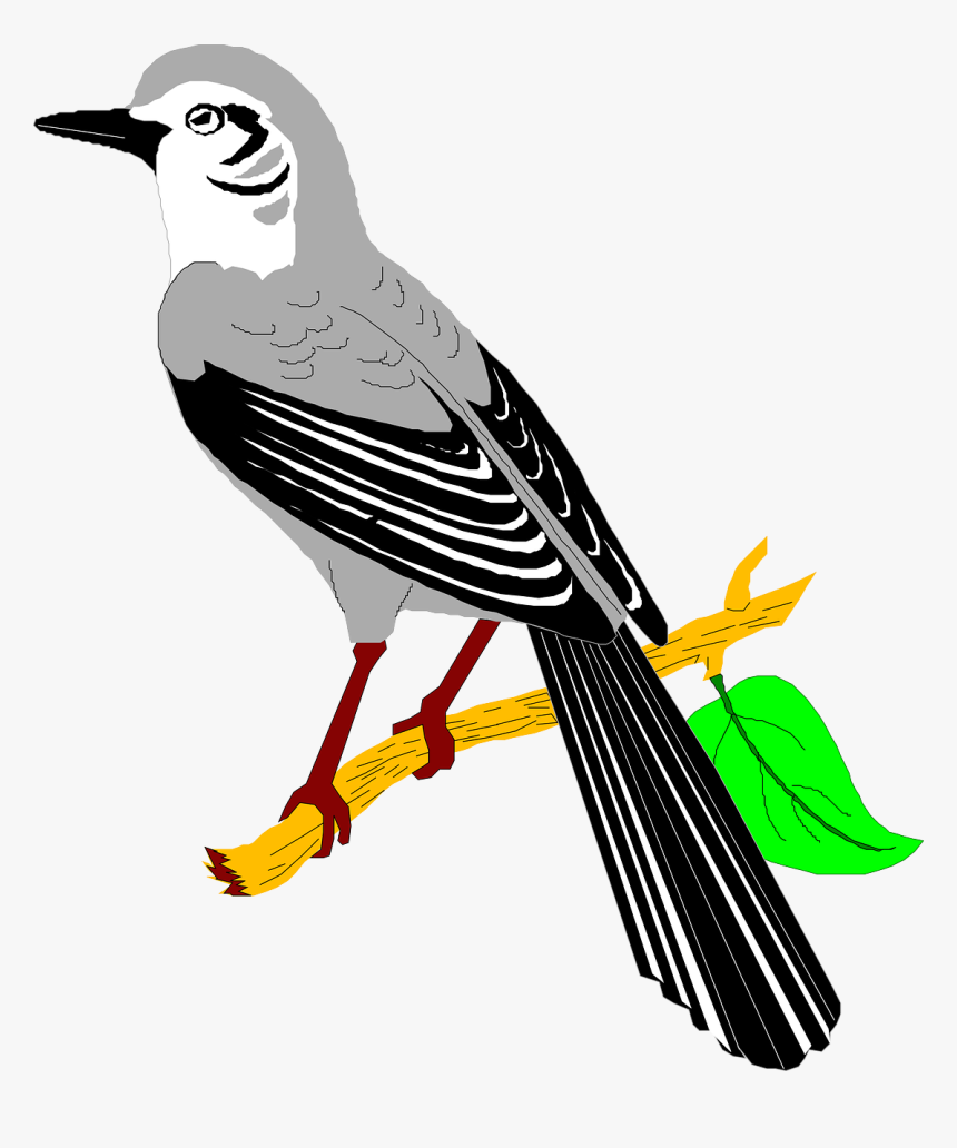 Mockingbird Svg Clip Arts - Mockingbird Clip Art, HD Png Download, Free Download