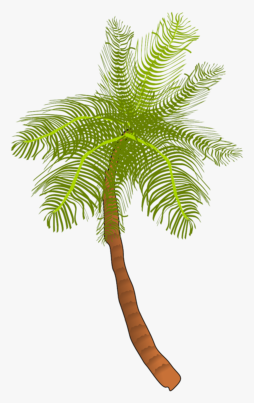 Coconut Tree Clip Art, HD Png Download, Free Download