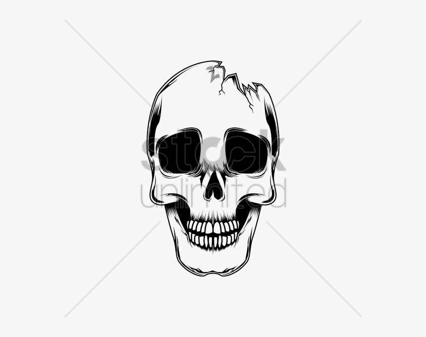 Skeleton Head Clipart Broken Skull - Easy Broken Skull Drawing, HD Png Download, Free Download