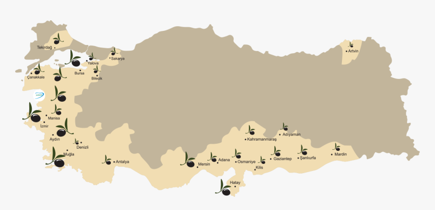 Turkey Olive Map - Outline Turkey Country Map, HD Png Download, Free Download