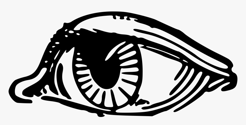 Eyeball Clip Arts - Human Eye, HD Png Download, Free Download