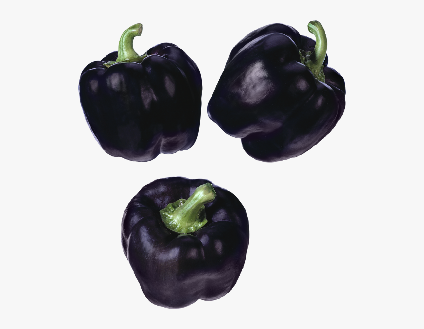 Purple Peppers , Png Download - My Pepper Plants Turning Black, Transparent Png, Free Download