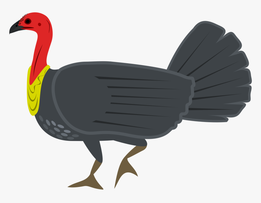 Australian Bush Turkey Clipart, HD Png Download, Free Download