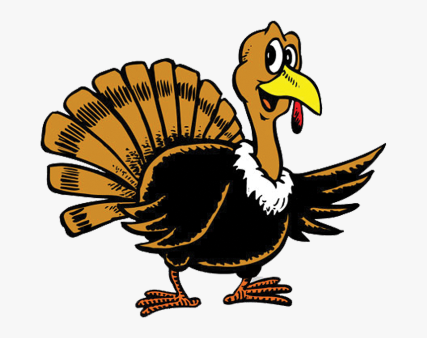 Domesticated-turkey - Thanksgiving Turkey Cartoon, HD Png Download, Free Download