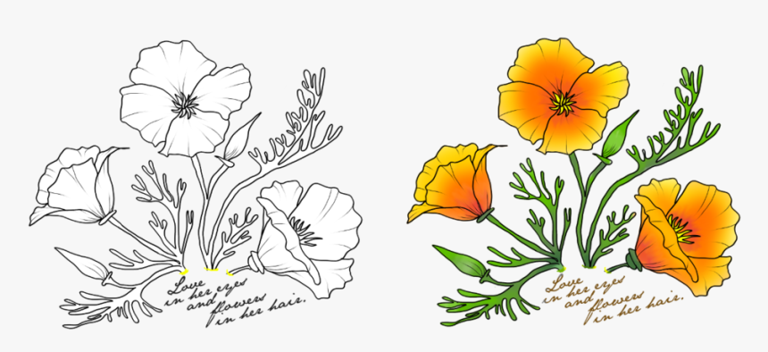 Clip Art California Poppy Drawing - California State Flower Drawing, HD Png Download, Free Download