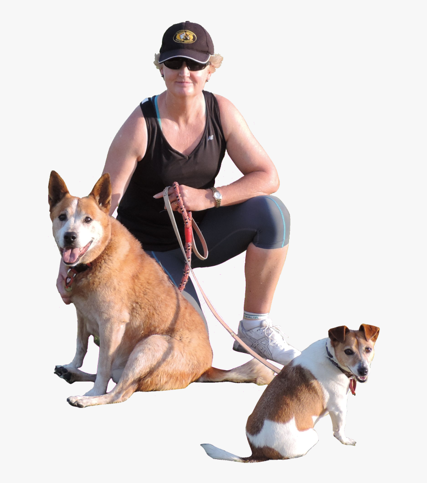 Leash Breed Dog Walking Companion Free Transparent - Ancient Dog Breeds, HD Png Download, Free Download