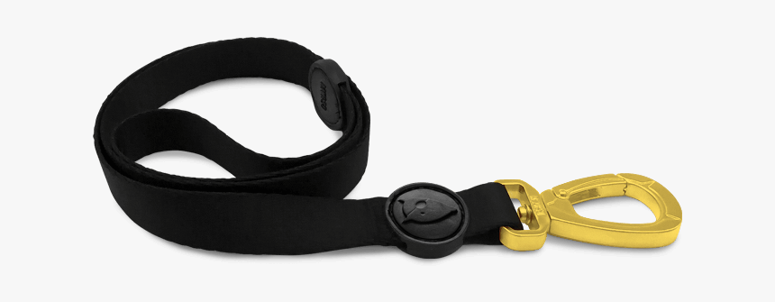 Dog Leash, HD Png Download, Free Download