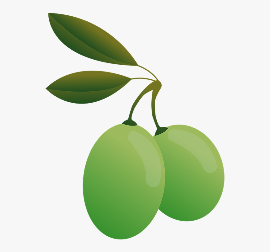 Olive Transparent Background, HD Png Download, Free Download