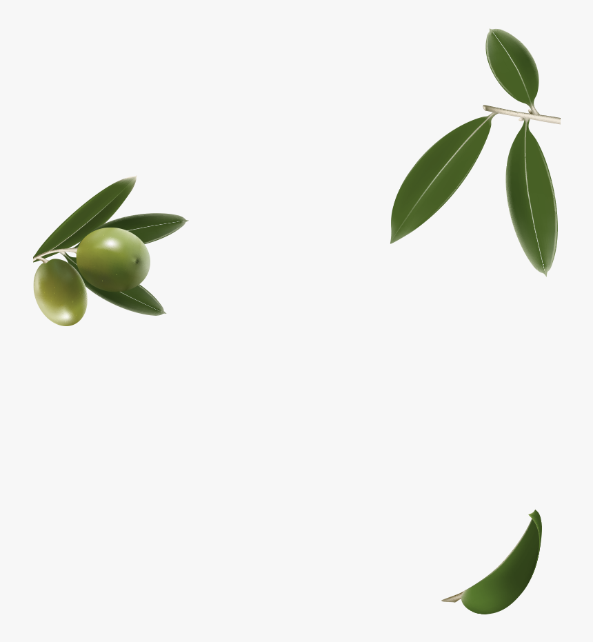Olive Oil Parallax, HD Png Download, Free Download