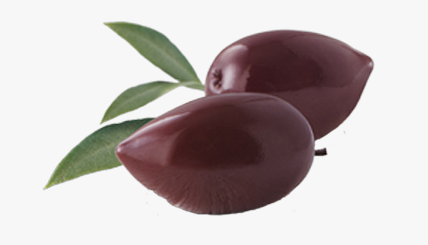 Kalamata Olive Png, Transparent Png, Free Download