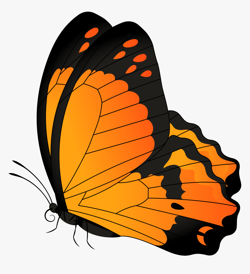 Butterfly Clipart Orange Transparent, HD Png Download, Free Download