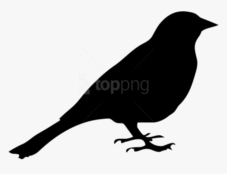 Free Png Birds Png Images Transparent - Pigeon Silhouette Clipart, Png Download, Free Download