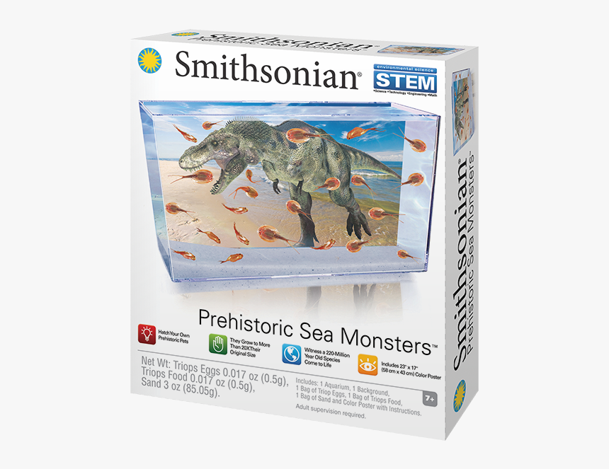 Prehistoric Sea Creatures Kit, HD Png Download, Free Download