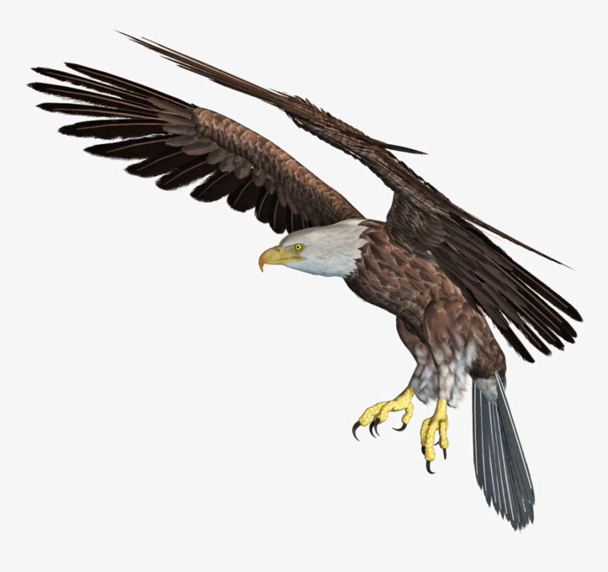 Eagle Png Download Image - 3d Eagle Png Transparent, Png Download, Free Download