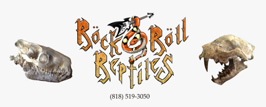 Rock N Roll Reptiles - Cartoon, HD Png Download, Free Download