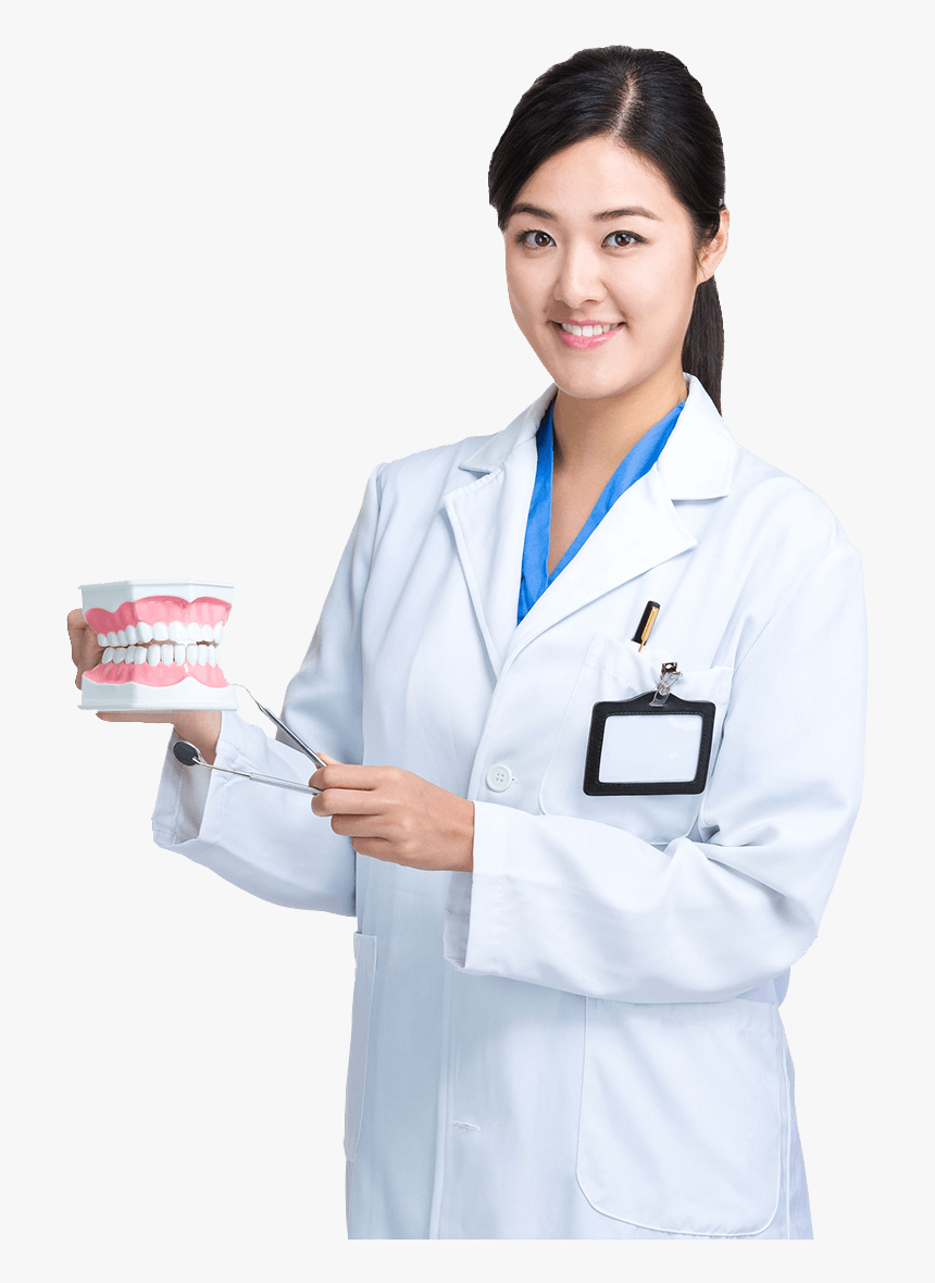 Physician Dentistry Tooth Dental Implant - Dentist Png, Transparent Png, Free Download