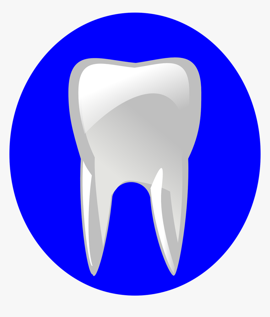 Logo Dentiste Gratuit, HD Png Download, Free Download