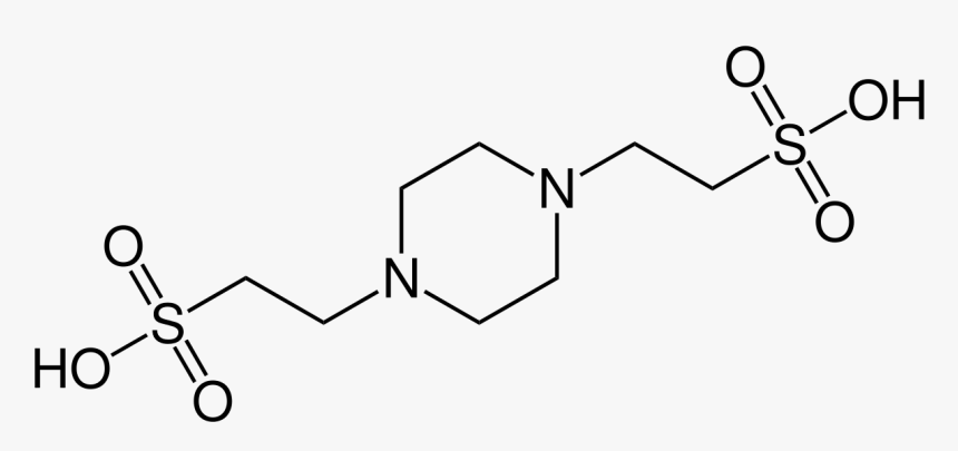 L Tyrosine Chemical Structure, HD Png Download, Free Download
