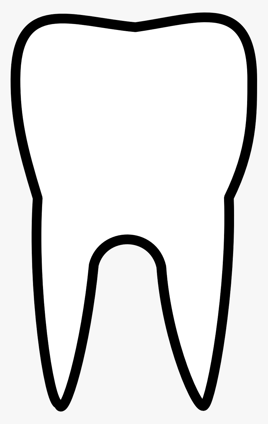 Dente Molar Png, Transparent Png, Free Download