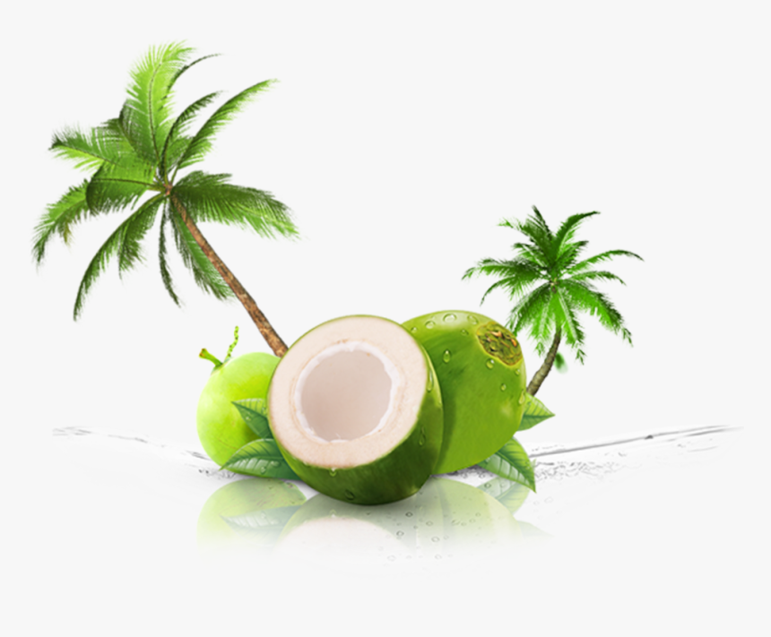 Thenarasu Tender Coconut - Transparent Coconut Juice Png, Png Download, Free Download