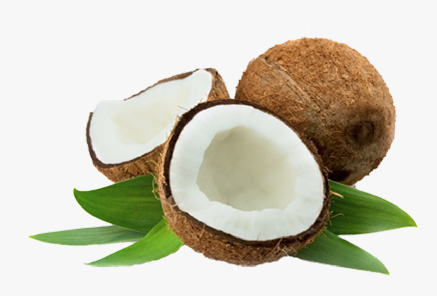 Coconut Thenarasu - Coconut Indian, HD Png Download, Free Download