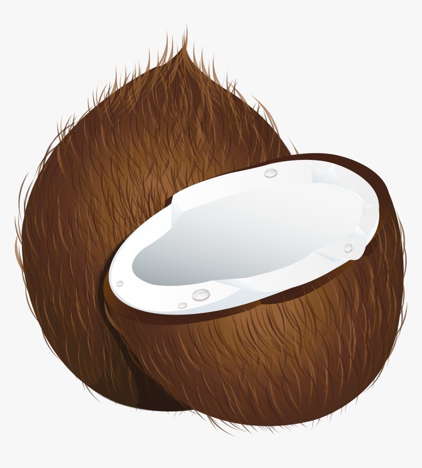 Coconut Png Image - Coconut Clipart Png, Transparent Png, Free Download