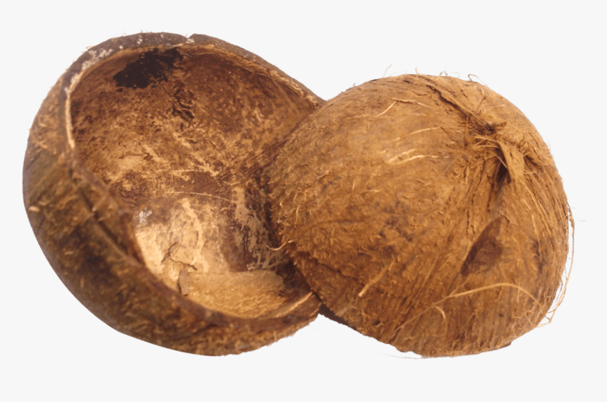 Free Png Coconut Shell Png Images Transparent - Coconut Husk Png, Png Download, Free Download