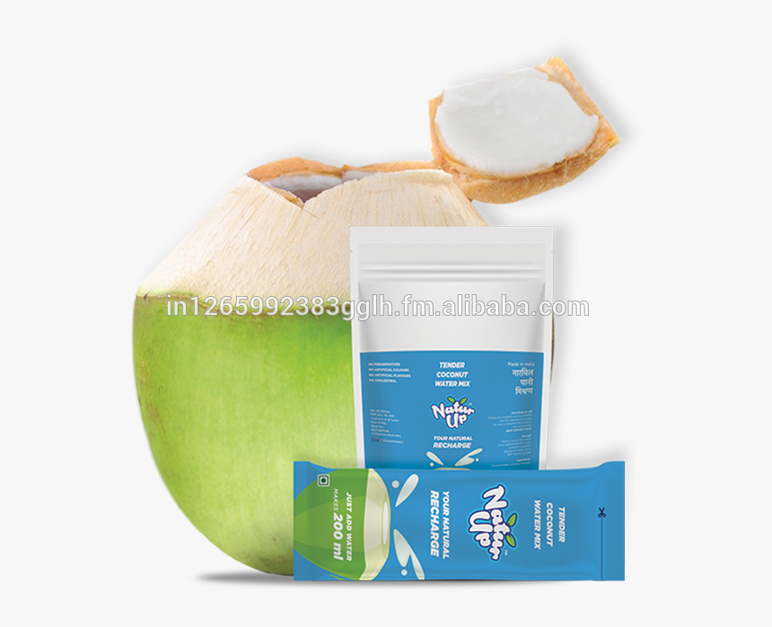 Coconut, HD Png Download, Free Download