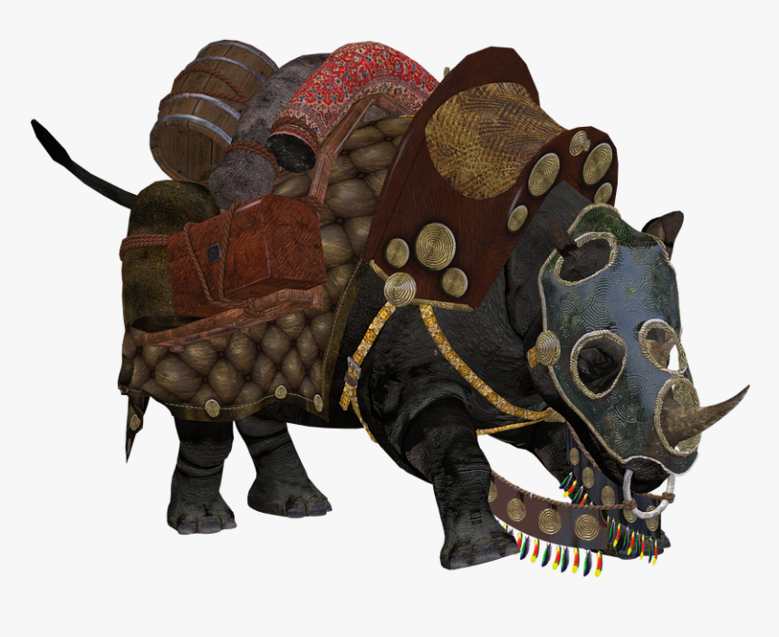 Rhino, Rhino Ride, Transport, Animal, Wildlife, Ride - Indian Rhinoceros, HD Png Download, Free Download