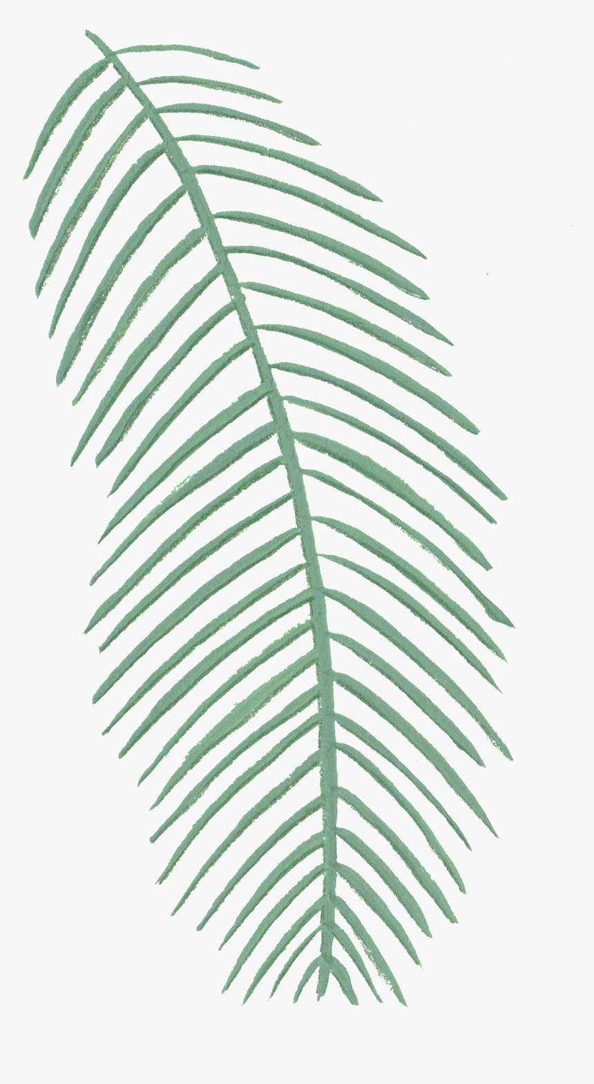 Creative Coconut Leaf Design Decoration Vector - Coconut Leaf Vector Png, Transparent Png, Free Download