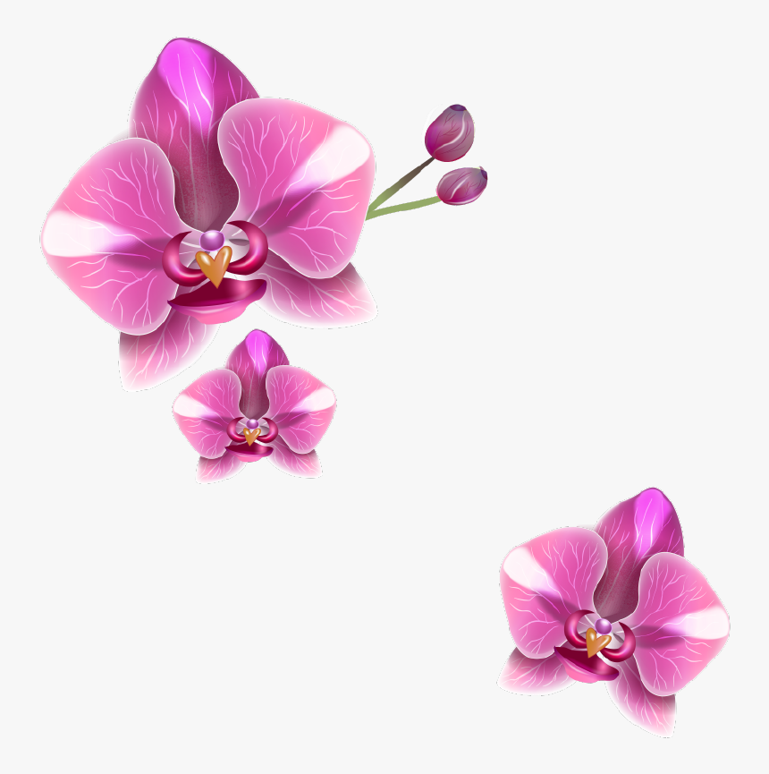 And Wellness Registered Practice Youtube Realistic - Health, HD Png Download, Free Download