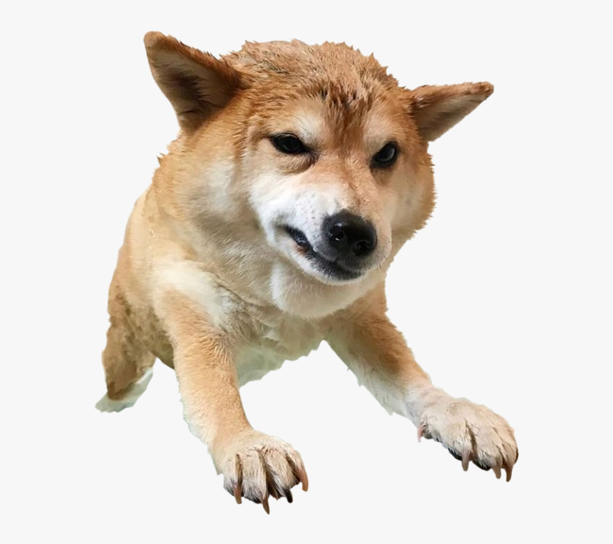 Heck You You Heckin Heck, HD Png Download, Free Download