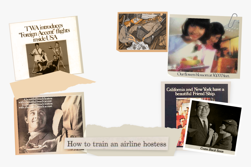 Nearly 70 Percent Of Flight Attendants Say They"ve - Collection, HD Png Download, Free Download