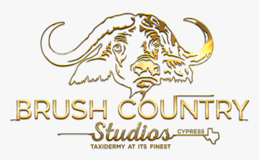 Brush Country Full Logo Gold - Graphic Design, HD Png Download, Free Download