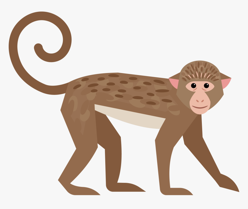 Monkey Tail Png - Monkey Tail Clipart, Transparent Png, Free Download