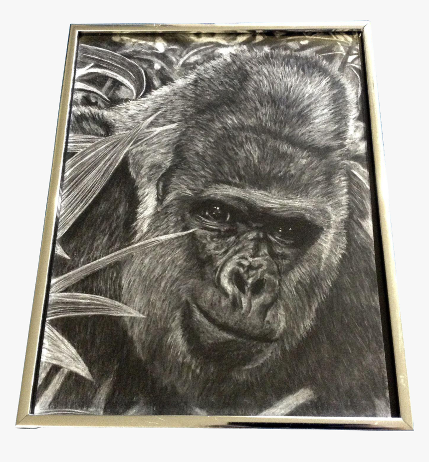 Gorilla Ape Realist Pencil Animal Drawing Works On - Mountain Gorilla, HD Png Download, Free Download