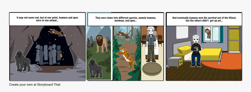 Evolution Theory Storyboard Monkey To Human, HD Png Download, Free Download