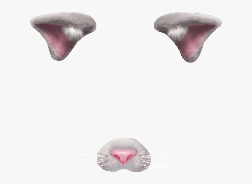 #cat #maskface #facefilter #filter #instagram #snapchat - Instagram Face Filter Transparent, HD Png Download, Free Download