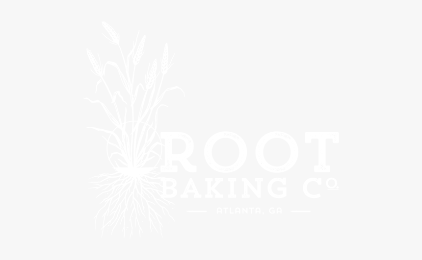 Rootlogo 1bw-01 - Johns Hopkins Logo White, HD Png Download, Free Download