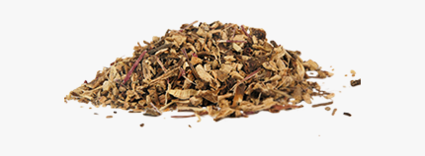 Echinacea Roots Herb, HD Png Download, Free Download