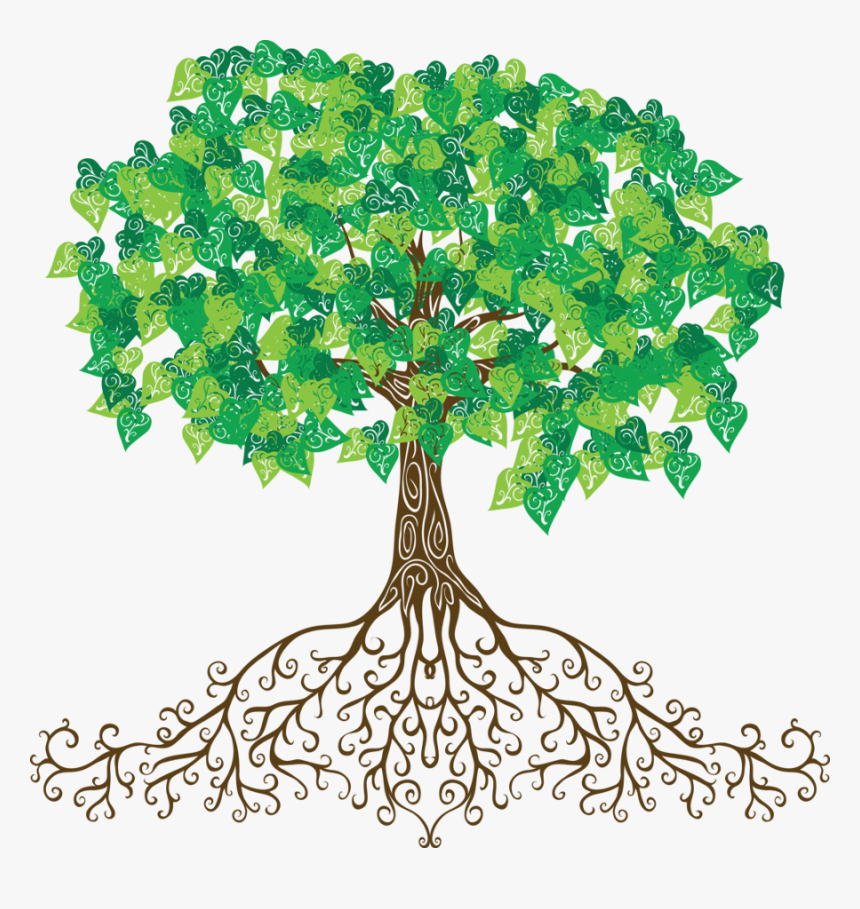 Transparent Tree Of Roots - Tree With Roots Cartoon, HD Png Download, Free Download